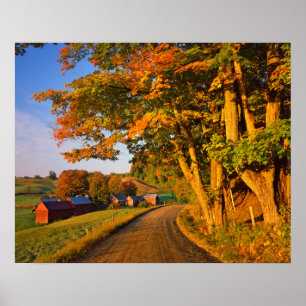 Verenigde Staten, Vermont, South Woodstock Poster