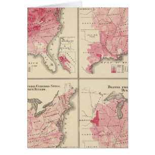 Verenigde Staten-vitaliteitskaarten