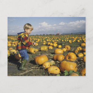 Verenigde Staten, Washington, Snohomish. Kleine jo Briefkaart