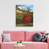 Verenigde Staten, West-Virginia, Spruce Knob-Senec Canvas Afdruk (Insitu (Woonkamer))