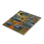 Verenigde Staten, West-Virginia, Spruce Knob-Senec Tegeltje (Zijkant)