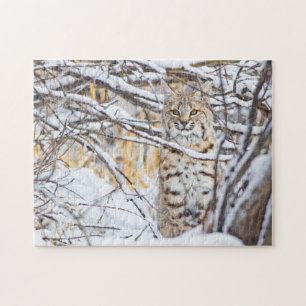 Verenigde Staten, Wyoming, Bobcat Legpuzzel