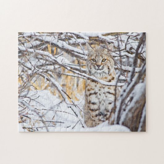 Verenigde Staten, Wyoming, Bobcat Legpuzzel (Horizontaal)