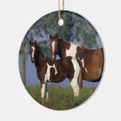 Verf HMare & Foal Keramisch Ornament (Links)