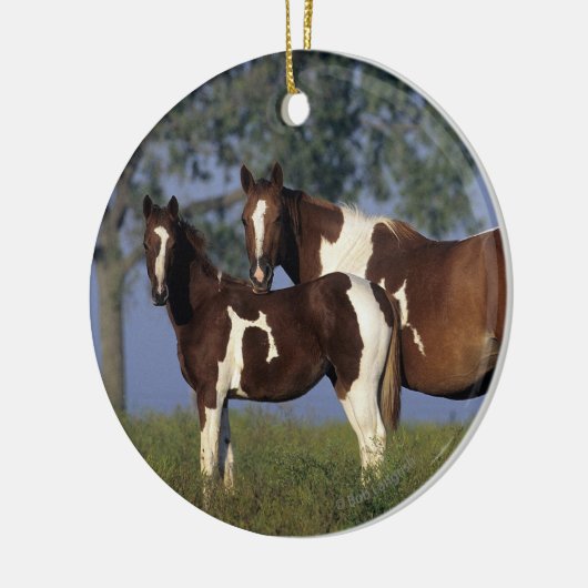 Verf HMare & Foal Keramisch Ornament (Links)