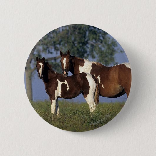 Verf HMare & Foal Ronde Button 5,7 Cm (Voorkant)