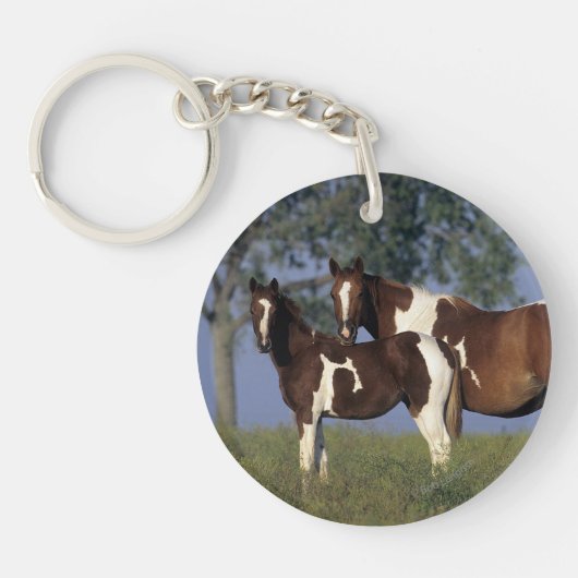 Verf HMare & Foal Sleutelhanger (Voorkant)