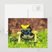 Verf Kikker, Dendrobates tinctorius, Briefkaart (Voorkant / Achterkant)