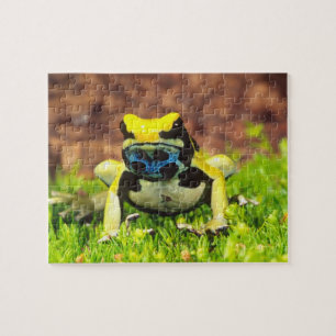 Verf Kikkers, Dendrobates tinctorius, Legpuzzel