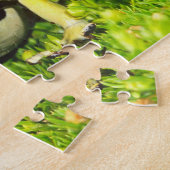 Verf Kikkers, Dendrobates tinctorius, Legpuzzel (Zijkant)