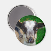 Verf Magneet (Voorkant / Achterkant)