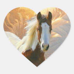 Verf Paard Gouden Hart Stickers