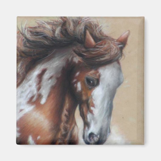 Verf paard in woestijn magneet (Voorkant)