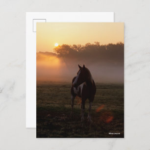 Verf paard staat in de mist op zonsopgang briefkaart