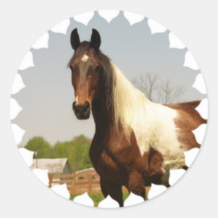 Verf Paard Stickers