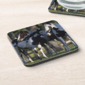 Verf paarden drankjes onderzetter (Linkerzijde)