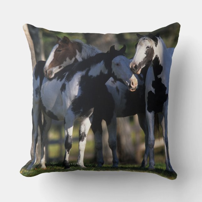 Verf paarden kussen (Voorkant)