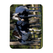 Verf paarden magneet (Verticaal)