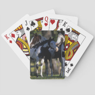 Verf paarden speelkaarten
