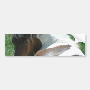 Verf Pony Restende Bumpersticker. Bumpersticker