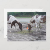 Verf-/postkaart Briefkaart (Voorkant / Achterkant)