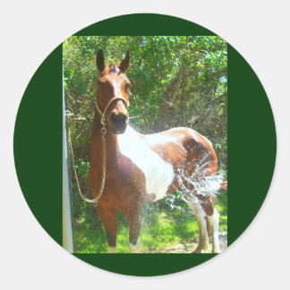 verfbad ronde sticker