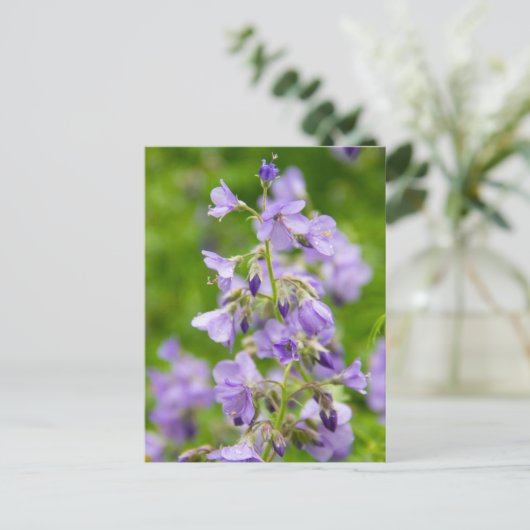 Verfijn blauwe bloemen op een groen veld in een le briefkaart (Staand voorkant)