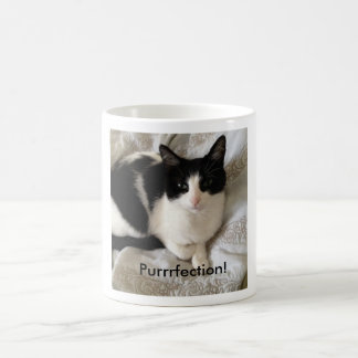 Verfijnde koffie drink kat: "Opwekking!" Koffiemok