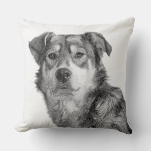 Verfijnde monochrome grote hond van gemengd ras kussen