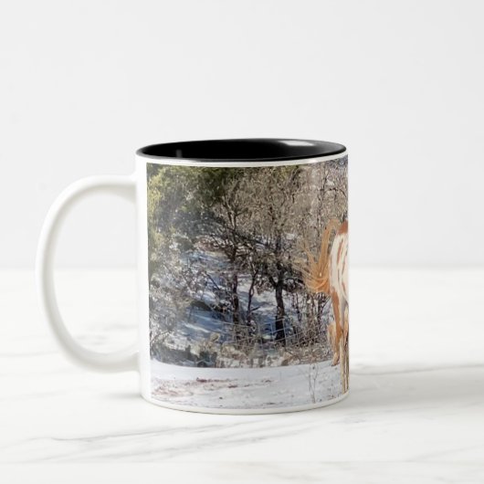 verfpaard Mok (Links)