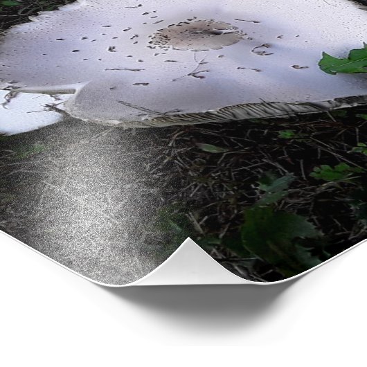 Verfrommelde schotels foto afdruk (Hoek)