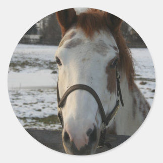 Verfsticker Ronde Sticker