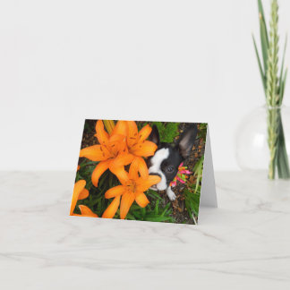 Verg tijd om de bloemen te ruiken - de LEGE KAART