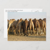 Vergadering van de kamelen briefkaart (Voorkant / Achterkant)