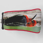 Vergadering van een "Red-Breasted Sapsucker" Golfheadcover (Voorkant)
