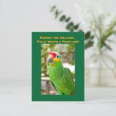 Vergeet de Cracker, Polly wil een Briefkaart, Parr Briefkaart (Staand voorkant)