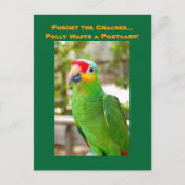 Vergeet de Cracker, Polly wil een Briefkaart, Parr Briefkaart (Voorkant)