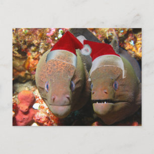 Vergeet de kerstpaling niet! feestdagenkaart
