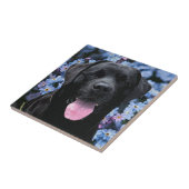 Vergeet me Knot - Black Labrador Tegeltje (Zijkant)