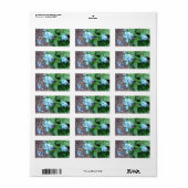 Vergeet me-niet bloemen etiket (Full Sheet)