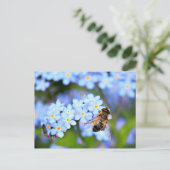 Vergeet-me-niet bloemen met overfly briefkaart (Staand voorkant)