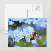 Vergeet-me-niet bloemen met overfly briefkaart (Voorkant / Achterkant)