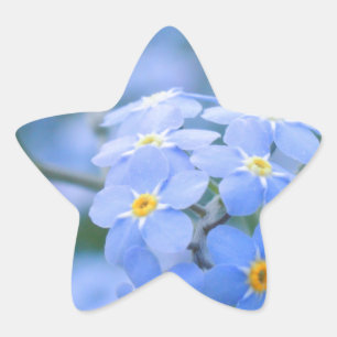 vergeet-me-niet-bloemen nr. 2 gefotografeerd door ster sticker