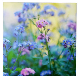 Vergeet-me-niet bloemen tegeltje