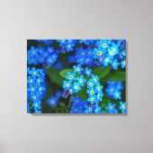 Vergeet-me-niet Bloemen Verpakt Canvas Art (Voorkant)