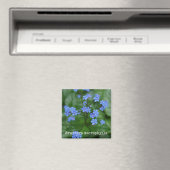 Vergeet-me-niet botanische magneet (Insitu (Vaatwasser))