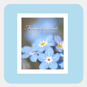 Vergeet-me-niet foto op blauw vierkante sticker