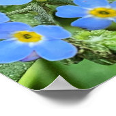 Vergeet me niet Poster te bloeden (Hoek)