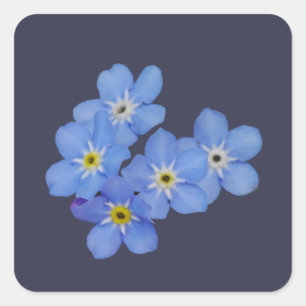 Vergeet me niet Sticker