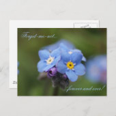 Vergeet me, niet voor altijd en nooit! briefkaart (Voorkant / Achterkant)